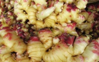 生姜的产地，我国东部、西南部等地区都有种植