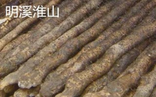 福建省福州市的水果特产有哪些,包括青山龙眼、一都枇杷、福州橄榄等种类