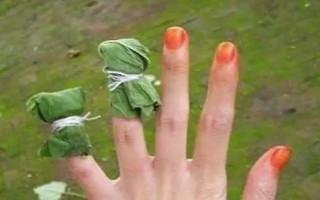 凤仙花怎么染指甲,花瓣中添加一点明矾会让颜色更红