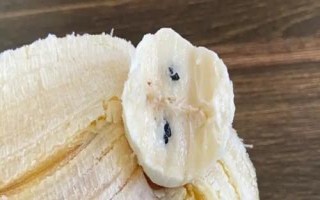 香蕉有种子吗,野生的香蕉种都是有种子的