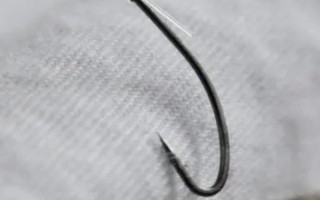 3号秋田狐钩可以钓多重的鱼，可垂钓3两至半斤的鱼种