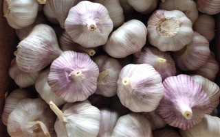 安徽省亳州市的特产，有苏赵梨、苔干菜等