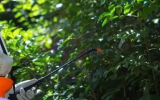 矿物油农药的使用方法，针对不同作物的使用方法不同