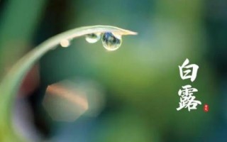 谷雨节气的农事谚语,要想庄稼好、管理要趁早