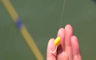 玉米钓鱼是钓底还是半水，取决于鱼种、钓场、天气