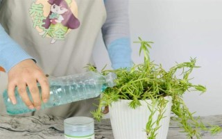 绿叶宝肥料怎么使用，撒施或翻耕土壤再施入、也可兑水喷雾