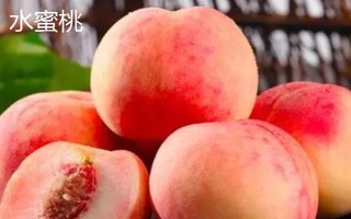 夏天水果保鲜方法,根据水果的种类采取保存措施