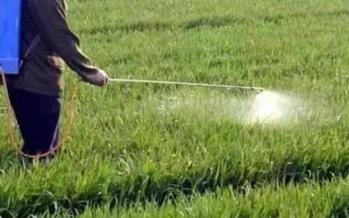 溴氰菊酯是什么药，是一种常见的杀虫药