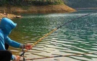 夏钓适宜位置,河汊口是绝佳钓位