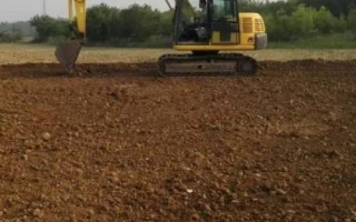 大豆种植技术，选择适合当地种植的品种