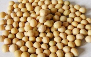 绥农49大豆种简介,在适应区五月上旬播种