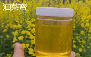 一亩油菜花能放几箱蜂,通常3亩养一箱蜂