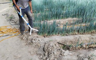 恶霉灵如何使用，可浸种、拌种等