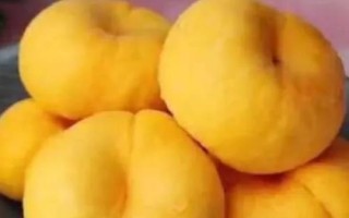 好吃的桃子品种有哪些，鹰嘴桃、砀山黄桃、水蜜桃、黄金油桃等品种的口感比较好