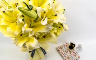 生日适合送什么花,赠送的对象不同选择的花卉不同