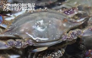 河北滦南县的特产,滦南花生被誉为东路花生