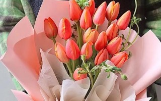 郁金香的花语，寓意高雅、富贵、忠贞的爱等