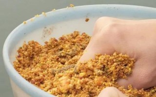 二月份钓鲢鳙要打窝吗，最好提前打窝诱鱼