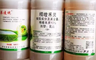 除草剂多少天后见效,不同品种的除草剂见效时间不同