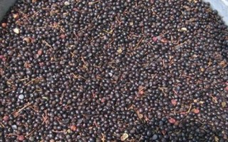 花椒如何去籽，可筛选也可用机器去籽