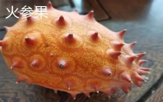 火参果是什么季节的水果，是夏秋季节的水果