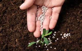 对植物使用硫酸亚铁的作用，能起到调节酸碱度、补充营养等效果