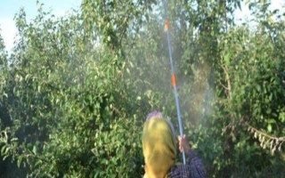 溴氰菊酯是什么药，是一种常见的杀虫药