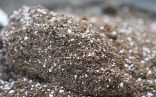 菜地土壤板结应该怎么改良,可采取增施有机肥、松土、掺沙这3种方式