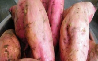 山西省阳泉市盂县的特产,枣介糕是家喻户晓的美食