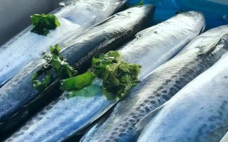 鲅鱼干太咸了如何处理，可以用白酒、醋或者淘米水去咸