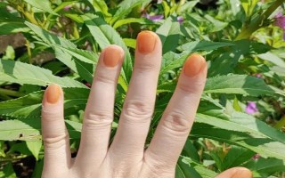 凤仙花怎么染指甲,花瓣中添加一点明矾会让颜色更红