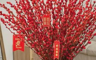 银柳能直接插土里吗，可以插土里进行扦插繁殖