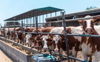 畜禽标识和养殖档案管理办法的内容，在我国境内从事相关生产等活动都要遵守