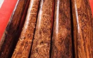 浙江宁波市的特色水果，有余姚樱桃、味香园葡萄、象山新桥枇杷等