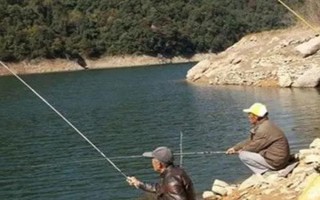 夏季水库钓鱼技巧，用面饵最为合适