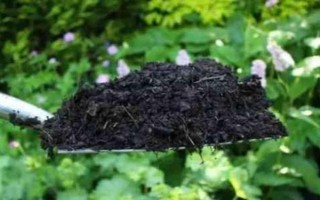 茶叶的用途，可饮用还可做花肥等