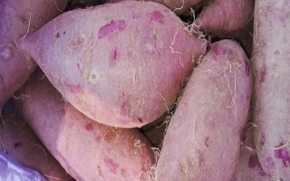 紫薯和红薯的区别，前者味甜较贵、后者甜味淡较便宜