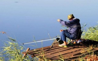 20度钓鲢鳙效果好吗，垂钓效果非常不错