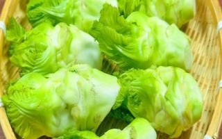 儿菜种植技术要点,通常在8-9月份种植